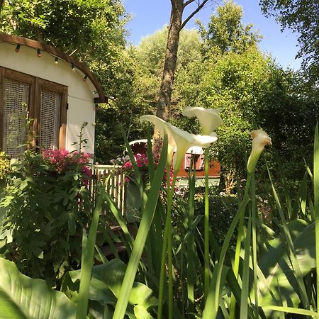 Roulottes Du Rouard Bed & Breakfast Камие Екстериор снимка