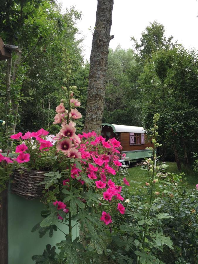 Roulottes Du Rouard Bed & Breakfast Камие Екстериор снимка