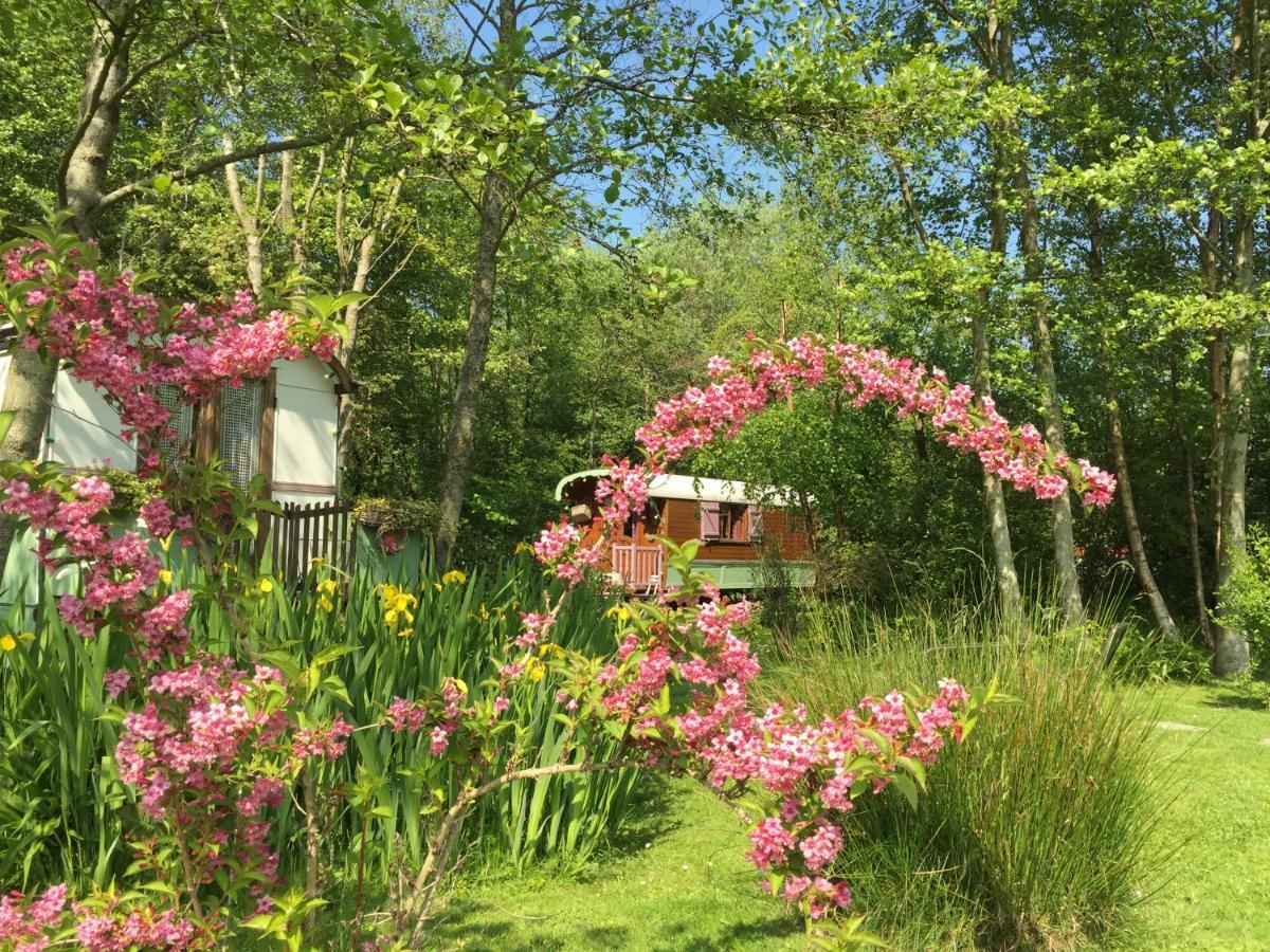 Roulottes Du Rouard Bed & Breakfast Камие Екстериор снимка